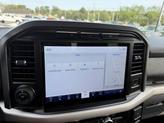 Thumbnail of 2021 Bronze Ford F-150