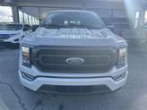 Thumbnail of 2023 Avalanche Gray Ford F-150