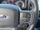 Thumbnail of 2023 Avalanche Gray Ford F-150