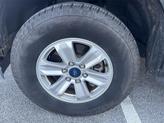 Thumbnail of 2020 Magnetic Ford F-150