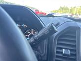 Thumbnail of 2020 Magnetic Ford F-150