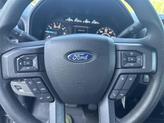 Thumbnail of 2020 Magnetic Ford F-150