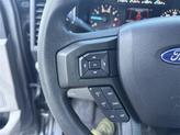 Thumbnail of 2020 Magnetic Ford F-150