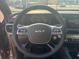 Thumbnail of 2025 Panthera Metal Kia Telluride