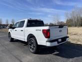 Thumbnail of 2025 Oxford White Ford F-150