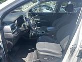 Thumbnail of 2019 Snow White Pearl Kia Sorento