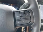 Thumbnail of 2025 Carbonized Gray Metallic Ford F-150