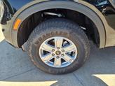 Thumbnail of 2025 Shadow Black Ford Ranger