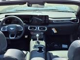Thumbnail of 2025 Shadow Black Ford Mustang