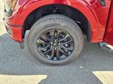 Thumbnail of 2025 Rapid Red MET Tinted Ford F-150