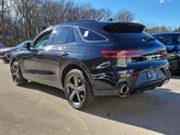Thumbnail of 2025 Vik Black Genesis GV70
