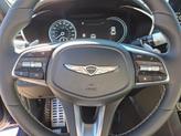 Thumbnail of 2025 Blue Genesis G70