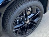 Thumbnail of 2025 Monterey Blue P Volkswagen Tiguan