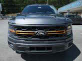 Thumbnail of 2025 Carbonized Gray Metallic Ford F-150