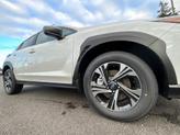 Thumbnail of 2025 Crystal White Pearl Subaru Crosstrek