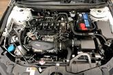 Thumbnail of 2024 Platinum White Pearl Honda Accord