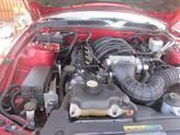 Thumbnail of 2007 Red Ford Mustang
