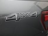 Thumbnail of 2025 Carbonized Gray Metallic Ford F-150
