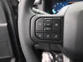 Thumbnail of 2025 Carbonized Gray Metallic Ford F-150
