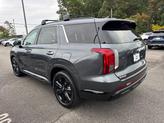 Thumbnail of 2025 Steel / Graphite Hyundai PALISADE