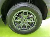 Thumbnail of 2023 Gray Ford Bronco Sport