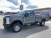 Thumbnail of 2025 Gray Ford F-250