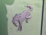 Thumbnail of 2023 Eruption Green Metallic Ford Bronco
