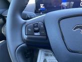 Thumbnail of 2022 Rapid Red Metallic Tinted Clearcoat Ford Mustang Mach-E