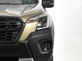Thumbnail of 2022 Autumn Green Metallic Subaru Forester