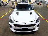 Thumbnail of 2019 Snow White Pearl Kia Stinger