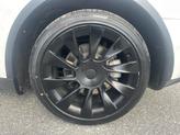 Thumbnail of 2021 Pearl White Multi-Coat Tesla Model Y