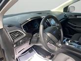 Thumbnail of 2020 Magnetic Ford Edge