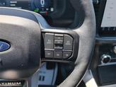 Thumbnail of 2024 Avalanche Ford F-150