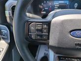 Thumbnail of 2024 Avalanche Ford F-150