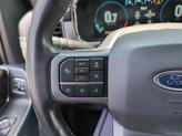 Thumbnail of 2023 Carbonized Gray Metallic Ford F-150