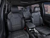 Thumbnail of 2025 Gray Kia Telluride