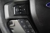 Thumbnail of 2019 Blue Jeans/Magnetic Ford F-150