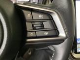 Thumbnail of 2025 Magnetite Gray Metallic Subaru Outback