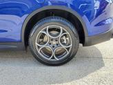 Thumbnail of 2022 Anodized Blue Metallic Alfa Romeo Stelvio