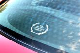 Thumbnail of 1995 RED Ford Mustang