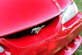 Thumbnail of 1995 RED Ford Mustang