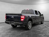 Thumbnail of 2023 Antimatter Blue Metallic Ford F-150
