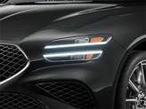 Thumbnail of 2026 Vik Black Genesis G70