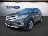 Photo of 2019 Magnetic Ford Escape