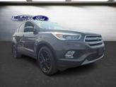 Thumbnail of 2019 Magnetic Ford Escape