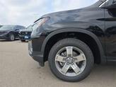Thumbnail of 2025 Crystal Black Pearl Honda Ridgeline