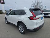 Thumbnail of 2025 Platinum White Pearl Honda CR-V
