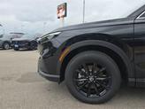 Thumbnail of 2025 Crystal Black Pearl Honda CR-V Hybrid
