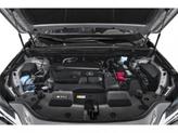 Thumbnail of 2025 Eminent White Pearl Lexus NX 250