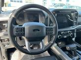 Thumbnail of 2025 AGATE BLACK METALLIC Ford F-150